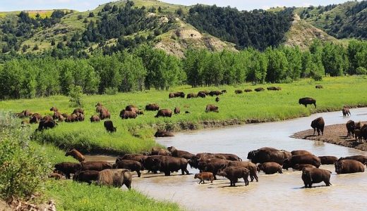 加熱する日経平均相場で一人勝ちする人の特徴