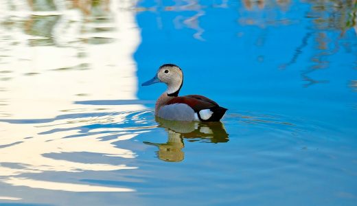 PER15倍の日経平均はまだ割安か