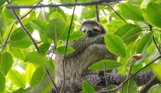 株で勝ちたいなら投資の勉強を頑張るな！